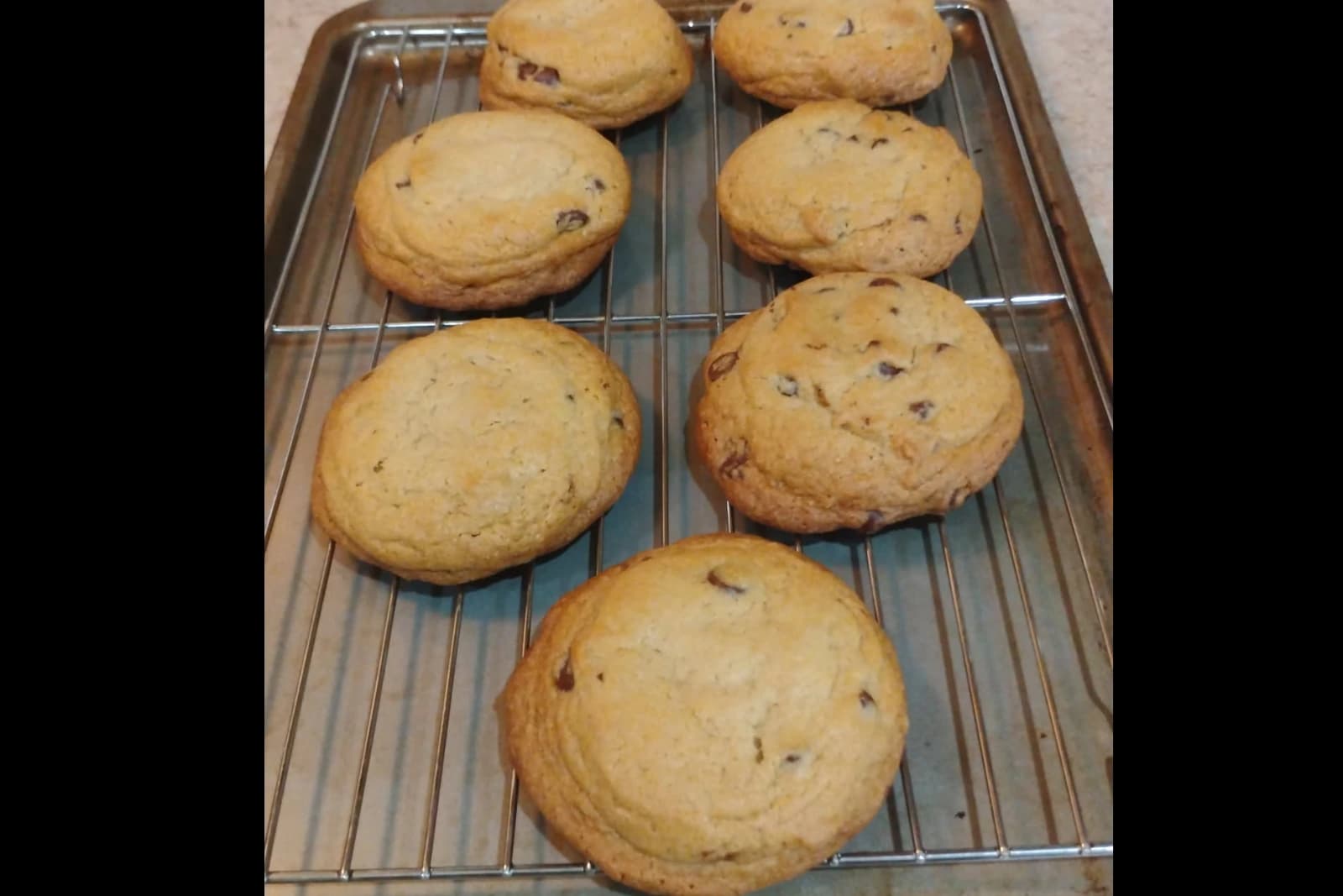 Chocolate Chip Cookie
