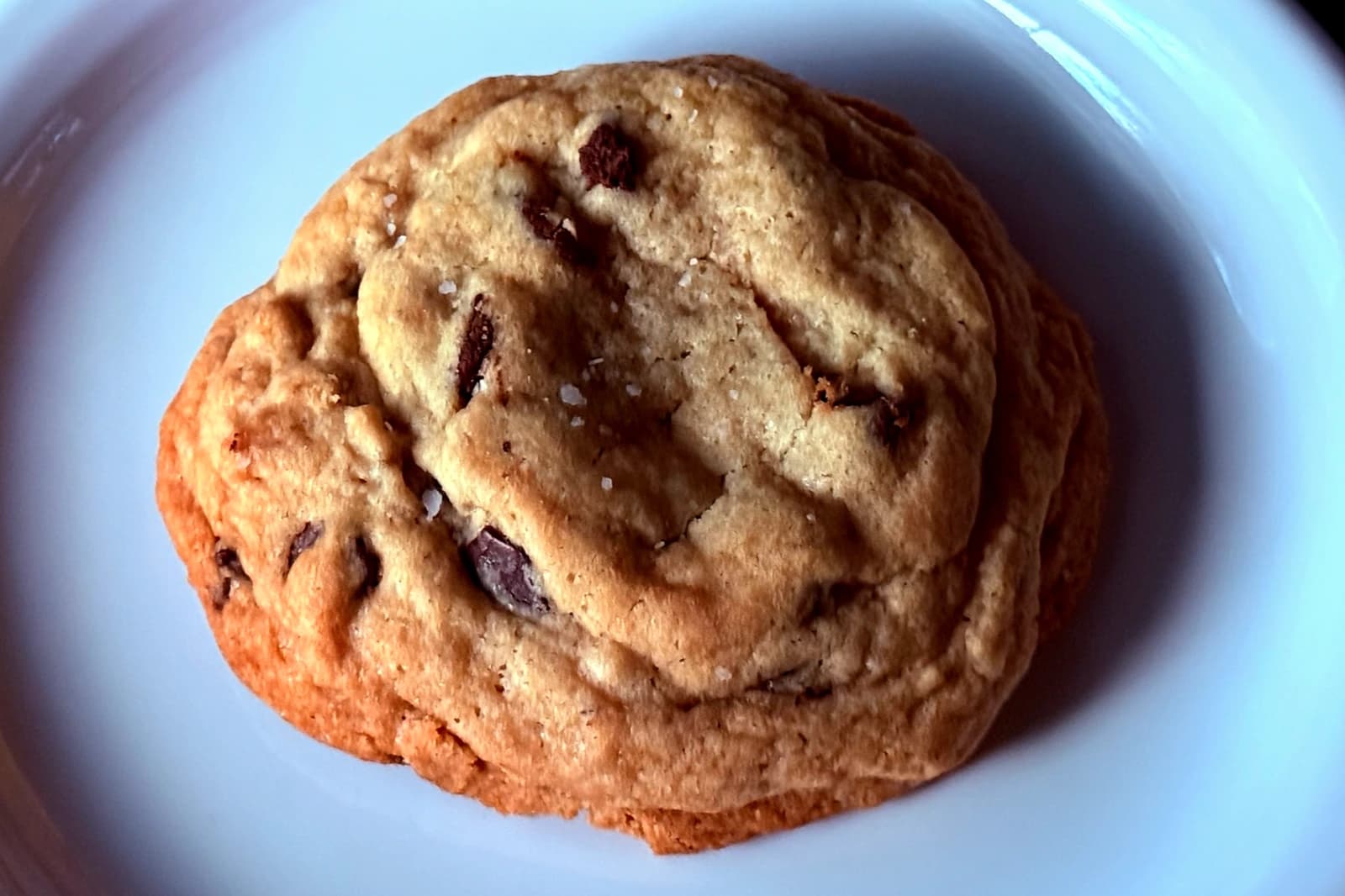 Chocolate Chip Cookie